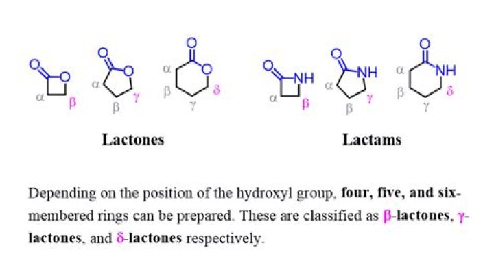 What are lactones properties?