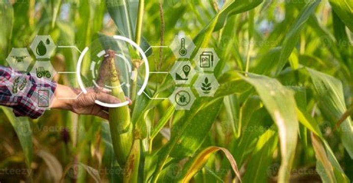 What are some agricultural innovations?