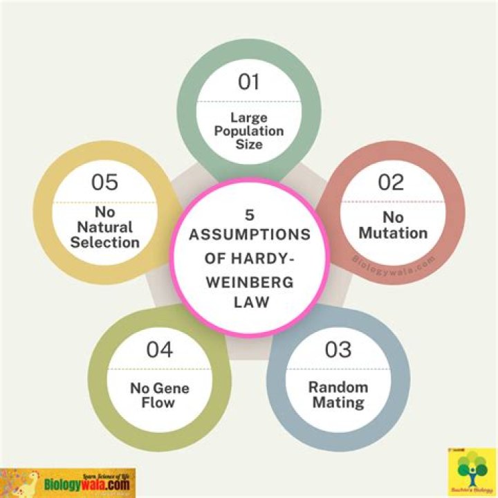What are the 5 assumptions of the Hardy Weinberg principle