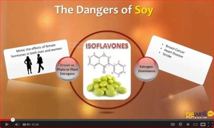 What are the dangers of soy?