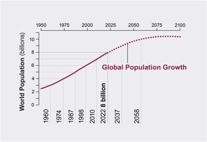 What are the patterns of population growth?