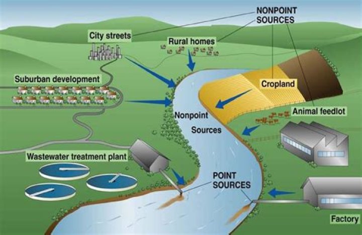 What are the three major sources of agglomeration economies?