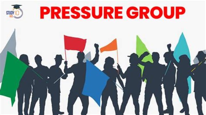 What are types of pressure group?