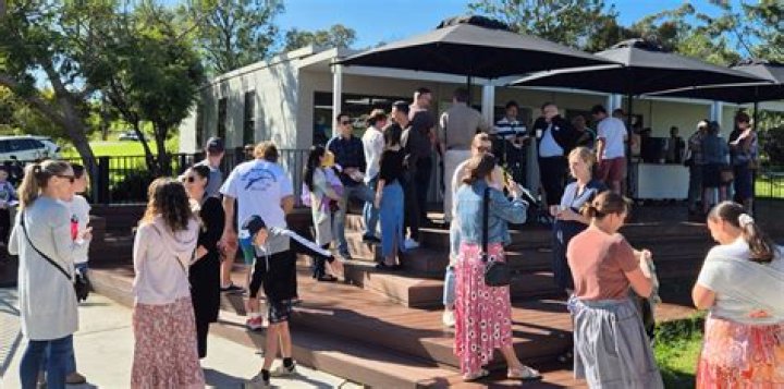 What can I say instead of shows