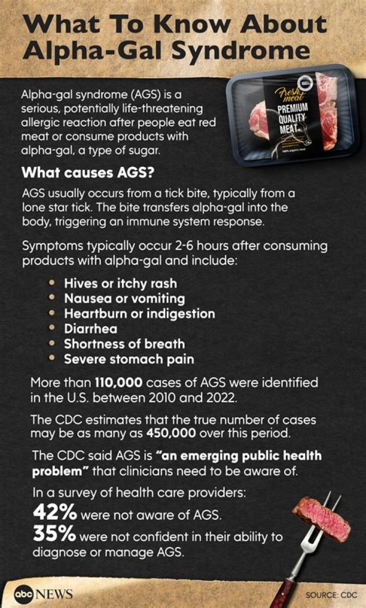 What causes a meat allergy?