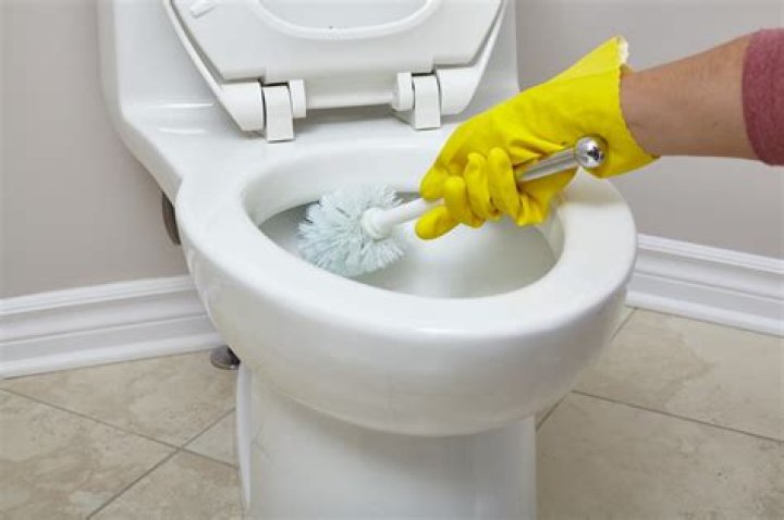 What causes red ring in toilet?