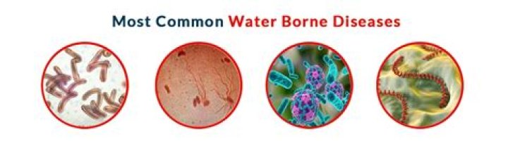 What diseases kill you slowly?
