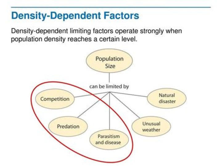 What do density dependent factors operate most strongly