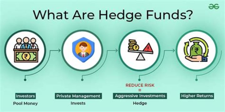 What do quants do in hedge funds?