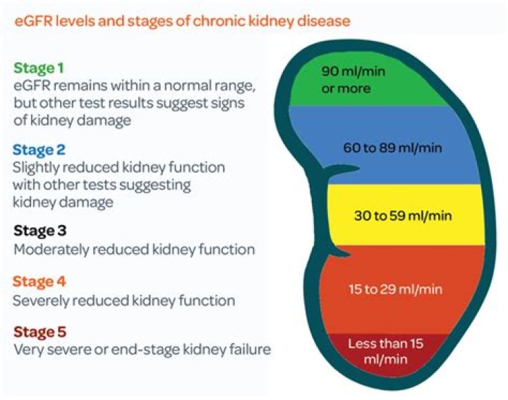 What does GFR mean in medical terms