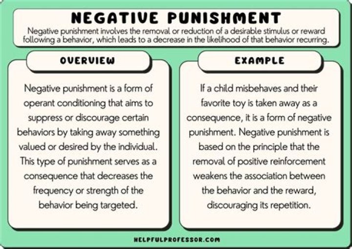 What does negative permittivity mean?