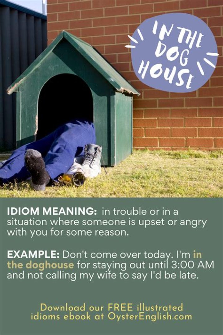 What does the idiom that boy is in the doghouse mean?