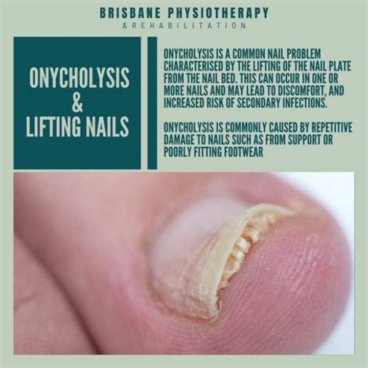 What does Trachyonychia mean