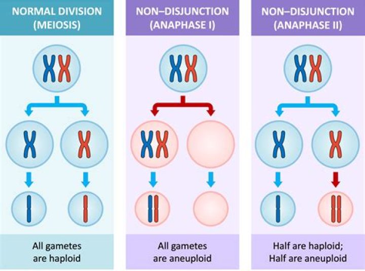 What happens to the gametes that are a product of Nondisjunction