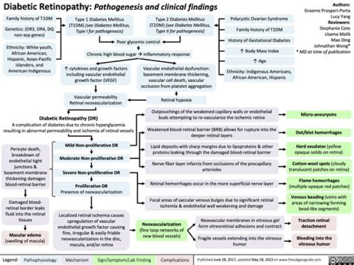 What ICD 10 CM code is reported for mild nonproliferative diabetic retinopathy with macular edema