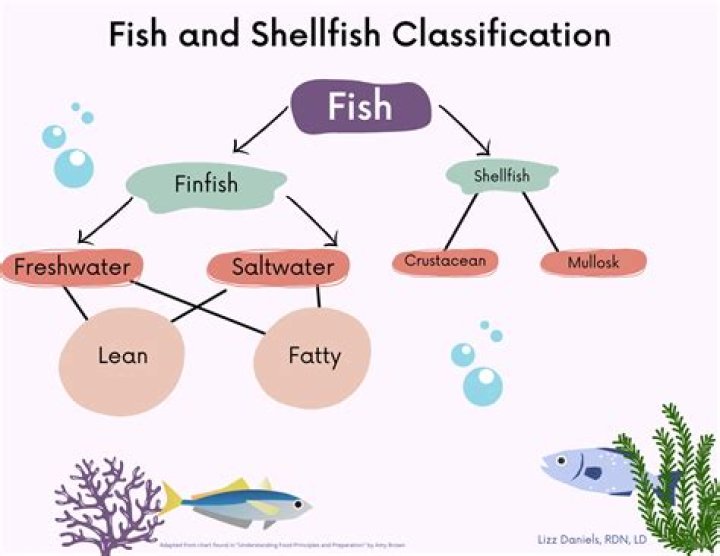 What is a fish classified as?