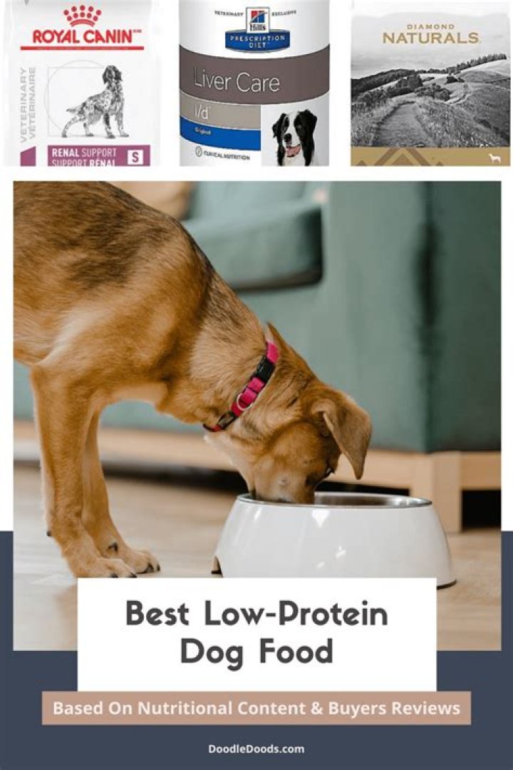 What is a good low protein dog food?
