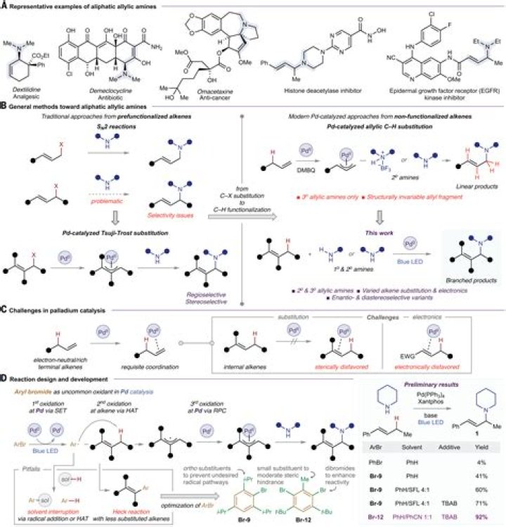 What is a Nitrene in chemistry?