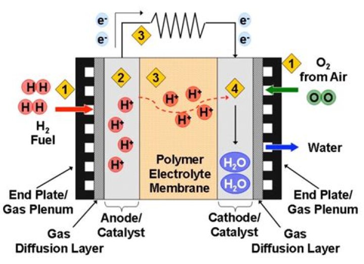 What is a polymer electrolyte membrane?