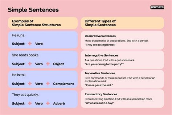 What is a sentence for accomplice?