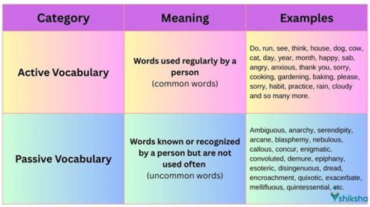 What is active vocabulary and passive vocabulary