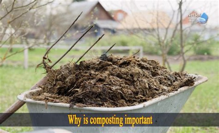 What is aged manure? | ContextResponse.com