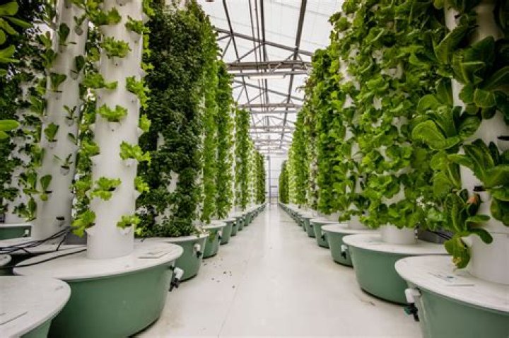 What is an aeroponic garden