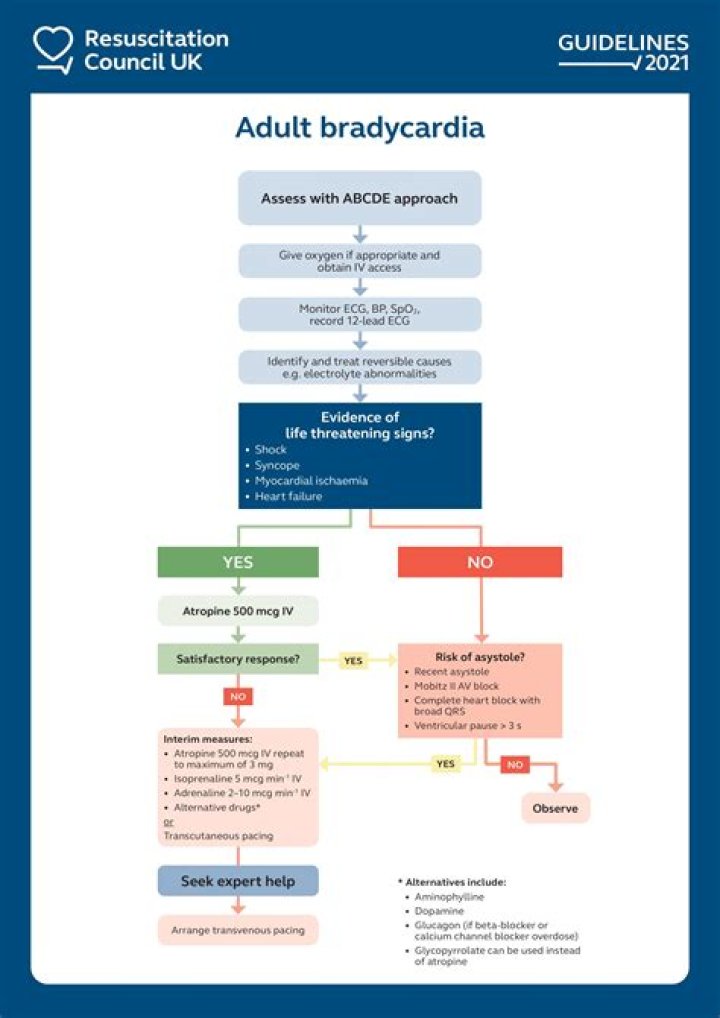 What is bradycardia algorithm?