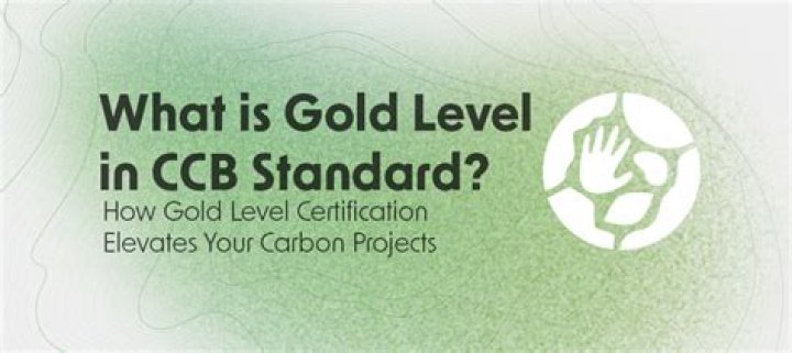 What is CCB certification