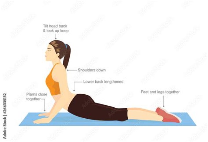 What is cobra stretch exercise?