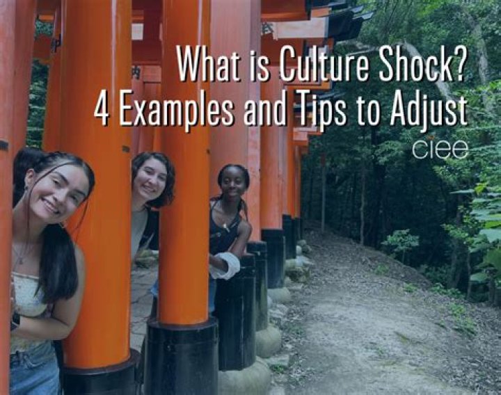 What is culture shock in geography?
