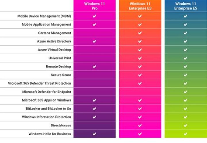 What is difference between Windows Professional and Enterprise?