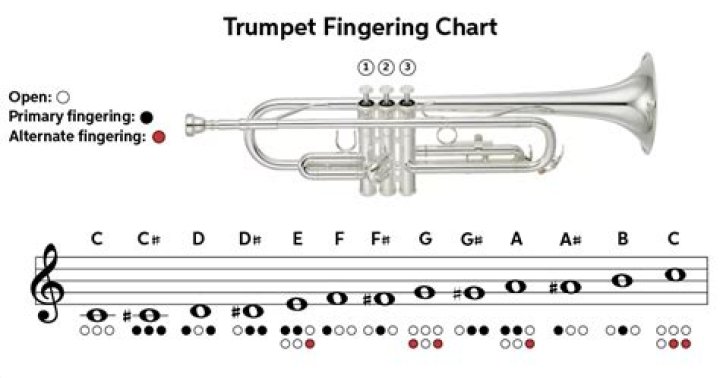 What is E Sharp on trumpet?