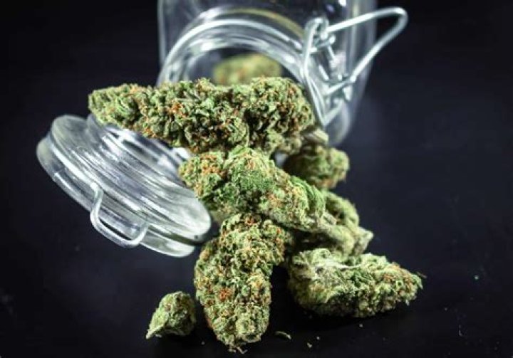 What is Mac cannabis strain?