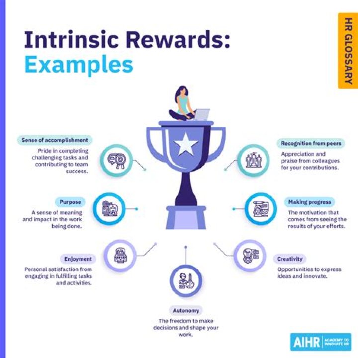 What is meant by intrinsic reward?