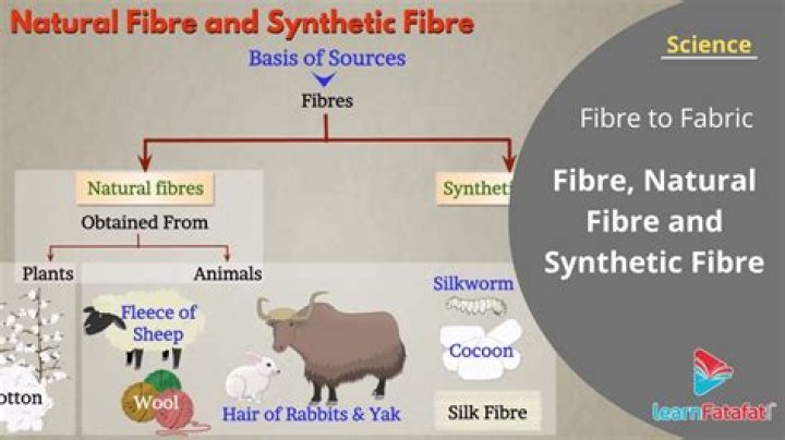 What is natural Fibre give example