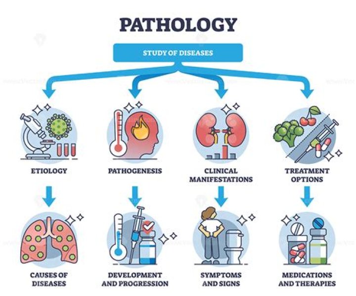 What is pathophysiology of bipolar?