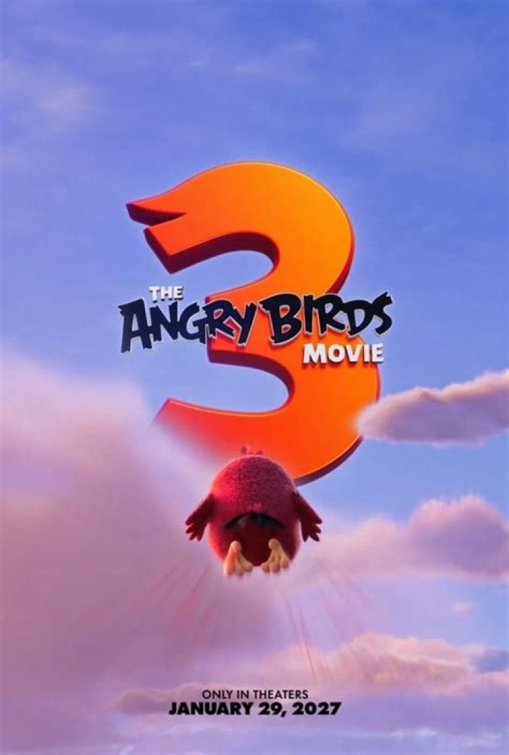 What is the Angry Birds movie about
