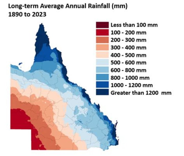 What is the average yearly rainfall in the grasslands?