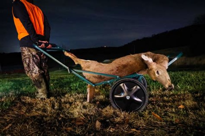 What is the best deer cart?