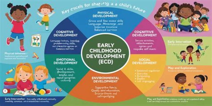 What is the best early childhood curriculum?