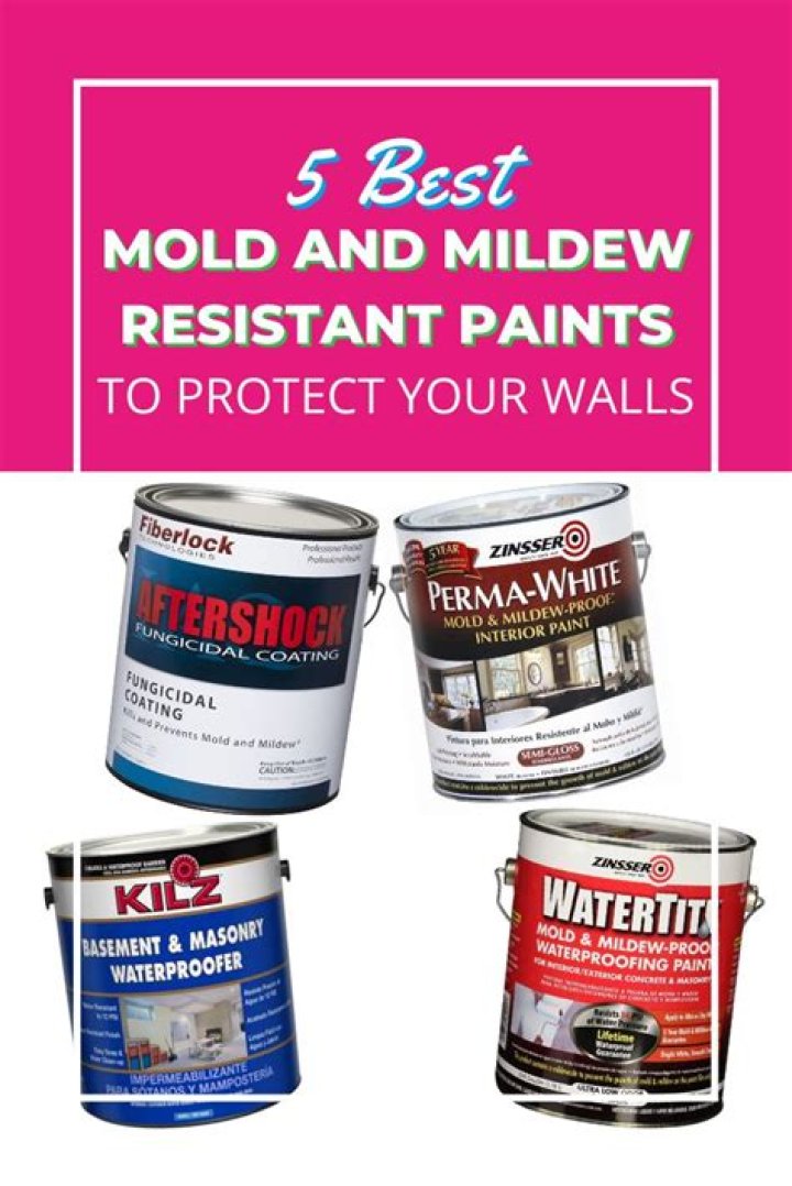 What is the best paint for mildew?