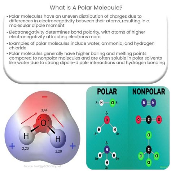 What is the definition of a polar molecule?