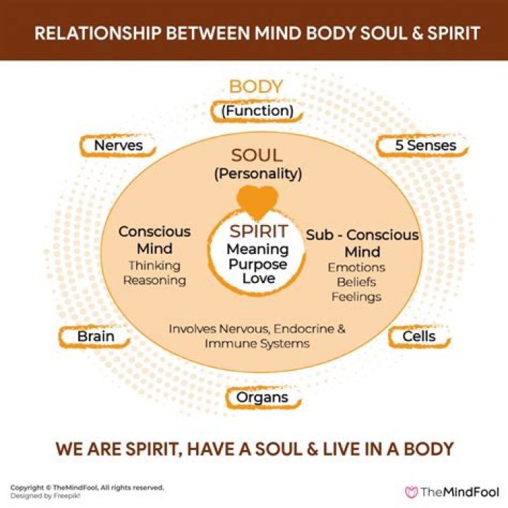 What is the different between soul and body?