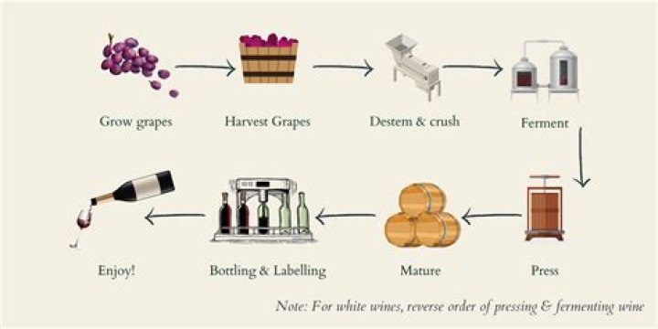 What is the duration for fermenting of wine?