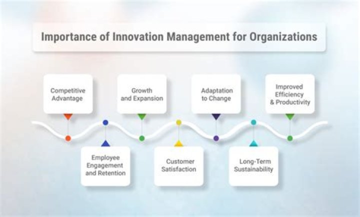 What is the organizational innovation?