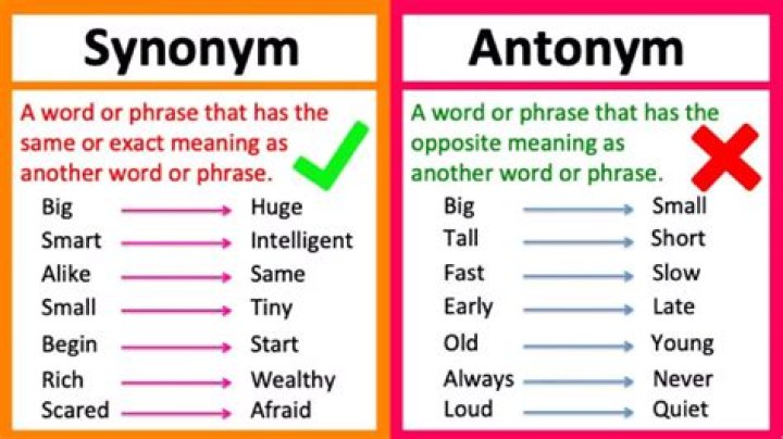 What is the synonym of protest?