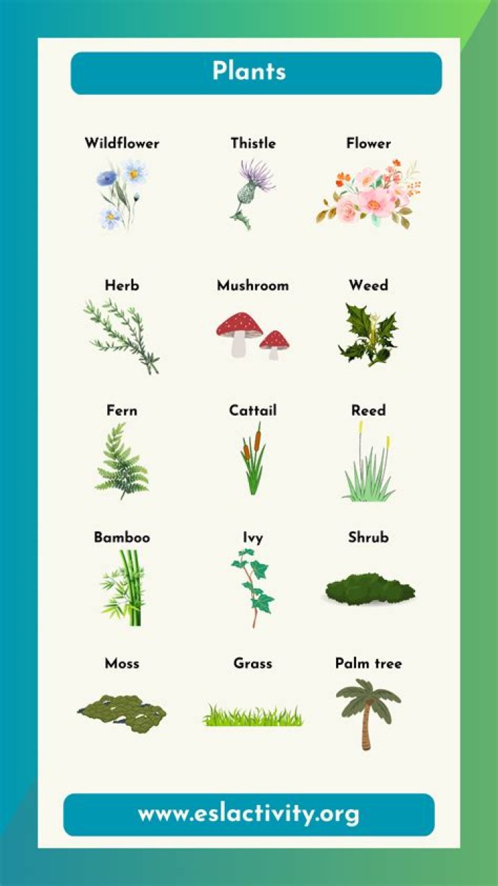 What plants are best to use for experiments?