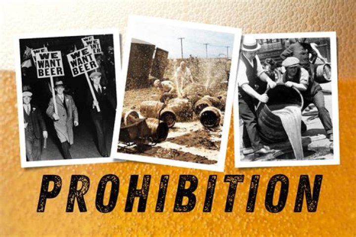What role did Prohibition play in the 1920s?