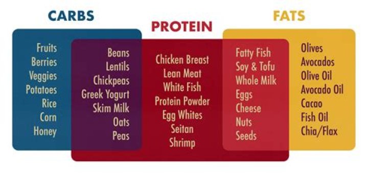 What should my breakdown of carbs fat and protein be?